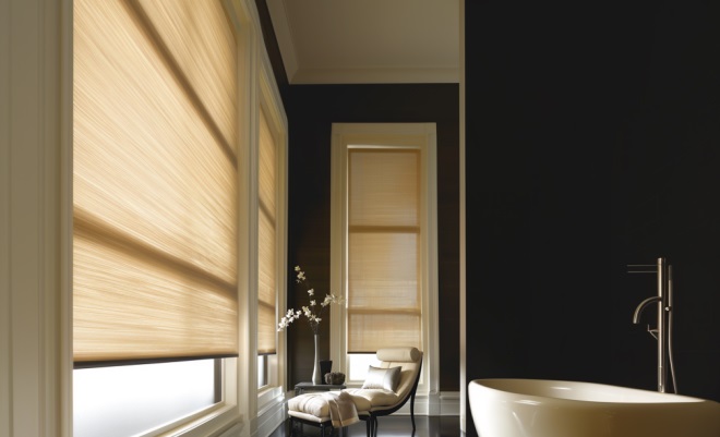 window shades St. Petersburg, FL
