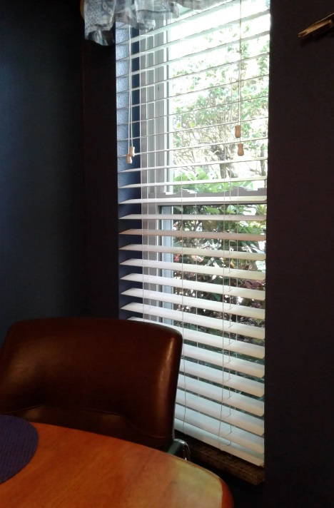 window blinds Tampa, FL1