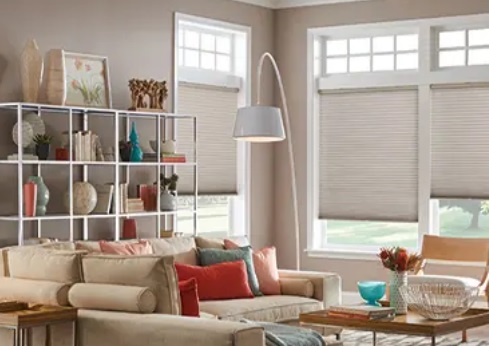 window shades Tampa, FL1