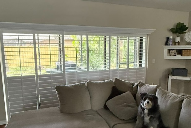 window blinds in St. Petersburg, FL